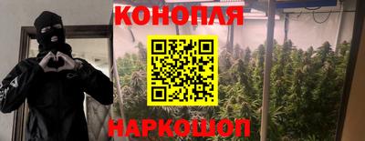 эйфоретик Донской