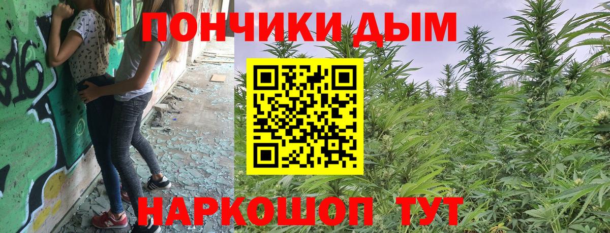 Бошки марихуана планчик  Марихуана гибрид  Бошки Шишки марихуана  Вход с VPN  Донецк 